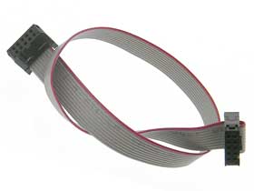 IDC Jumper Cable Female-Female 2x5 (10 Pin) 12in.